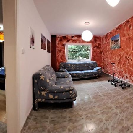 Daria Lorenzo Apartament Timisoara Luaran gambar